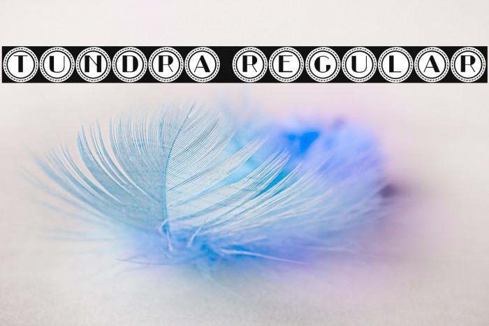 Tundra Regular Example 3