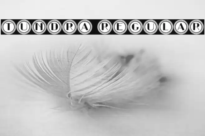 Tundra Regular Font examples