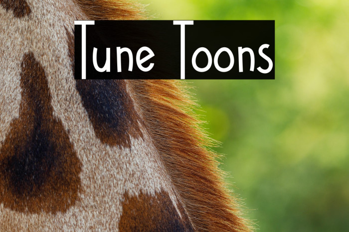 Tune Toons Example 1