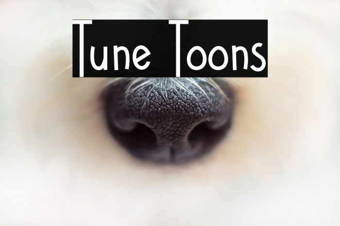 Tune Toons Example 3