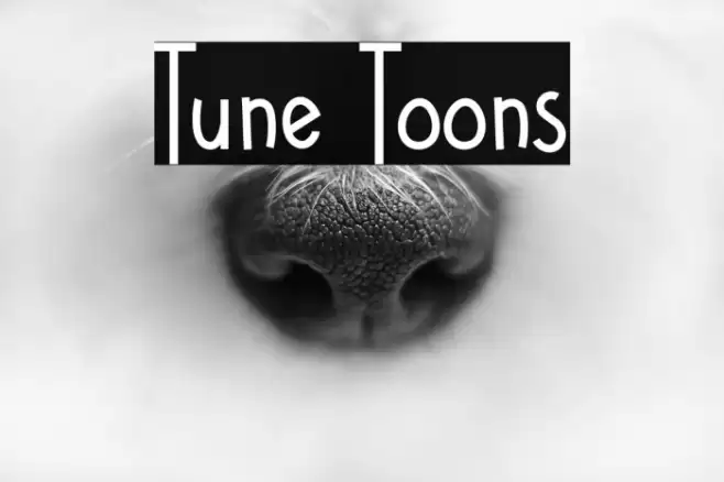 Tune Toons Fonte examples