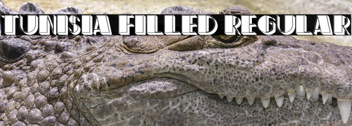 Tunisia Filled Regular Example 1