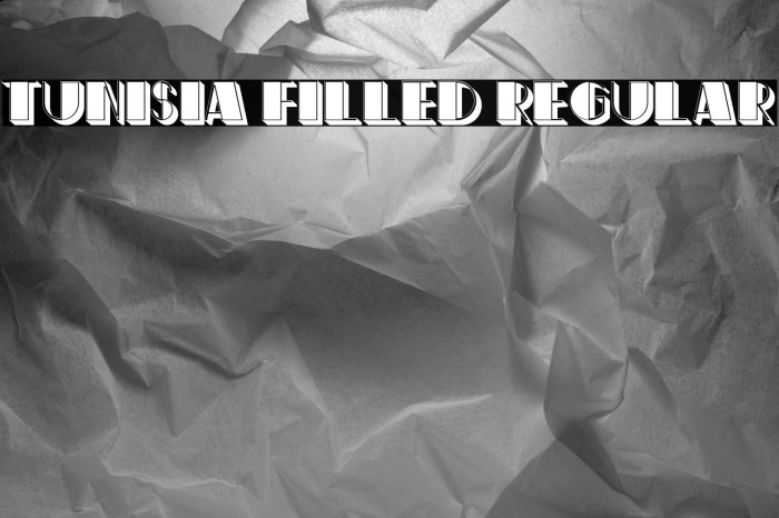 Tunisia Filled Regular Example 2