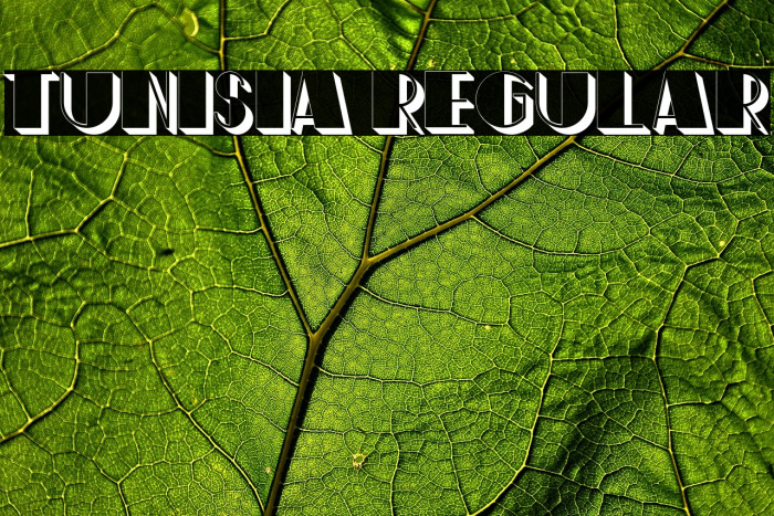 Tunisia Regular Example 2