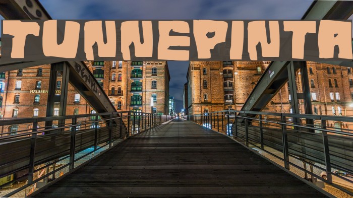 Tunnepinta Font examples