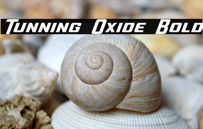 Tunning Oxide Bold Example 2