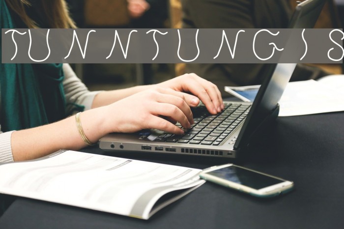 Tunntungis Font examples