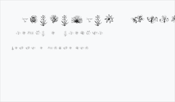 Tupiniquim-Flora Business Card