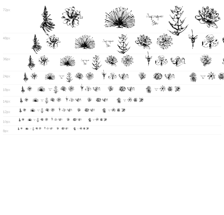 Tupiniquim-Flora Waterfall