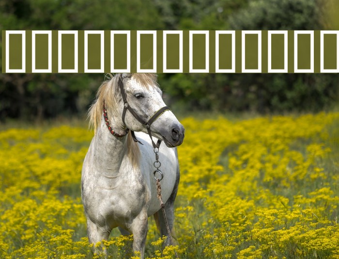 Tuplet Numbers [Petrucci] Example 3