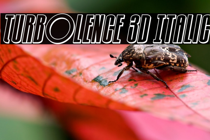 Turb0lence 3D Italic Example 2