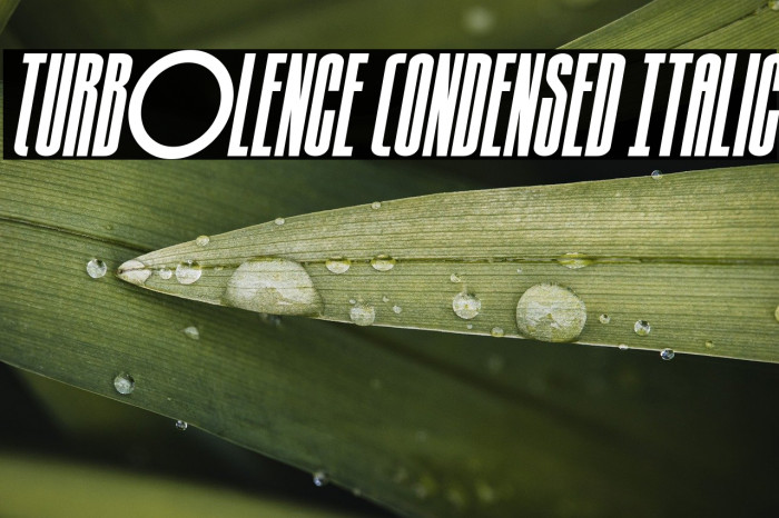 Turb0lence Condensed Italic Example 3