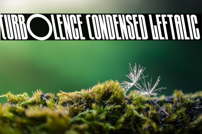 Turb0lence Condensed Leftalic Example 3