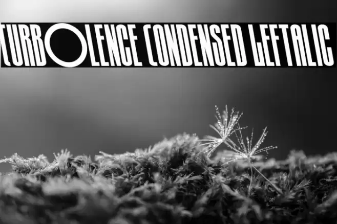 Turb0lence Condensed Leftalic Font examples