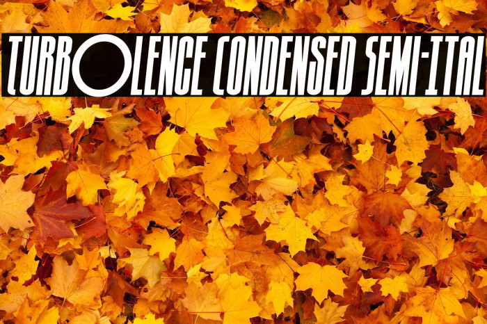 Turb0lence Condensed Semi-Ital Example 1