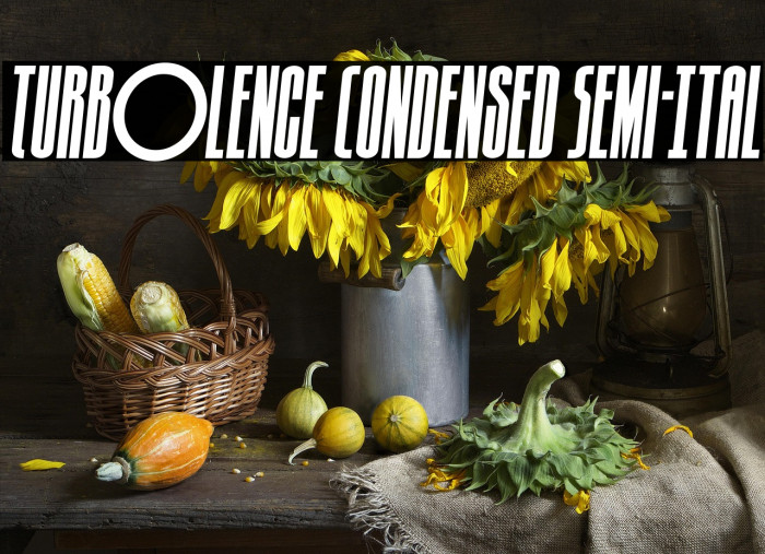 Turb0lence Condensed Semi-Ital Example 2