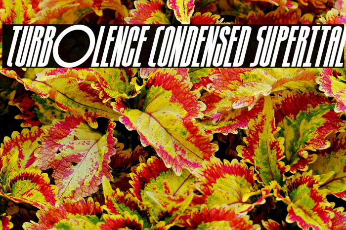 Turb0lence Condensed SuperItal Example 2