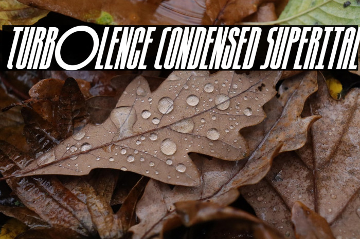 Turb0lence Condensed SuperItal Example 3