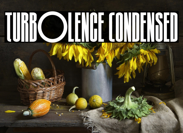 Turb0lence Condensed Example 1