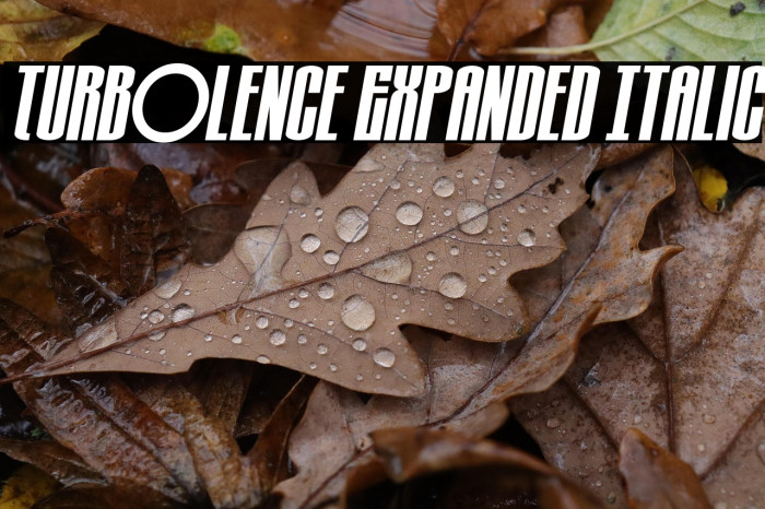 Turb0lence Expanded Italic Example 2