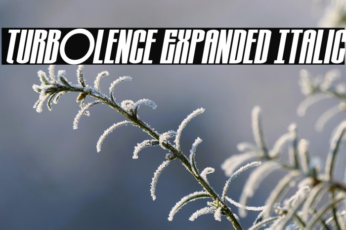 Turb0lence Expanded Italic Example 3