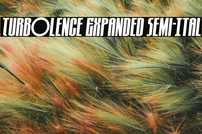 Turb0lence Expanded Semi-Ital Example 2