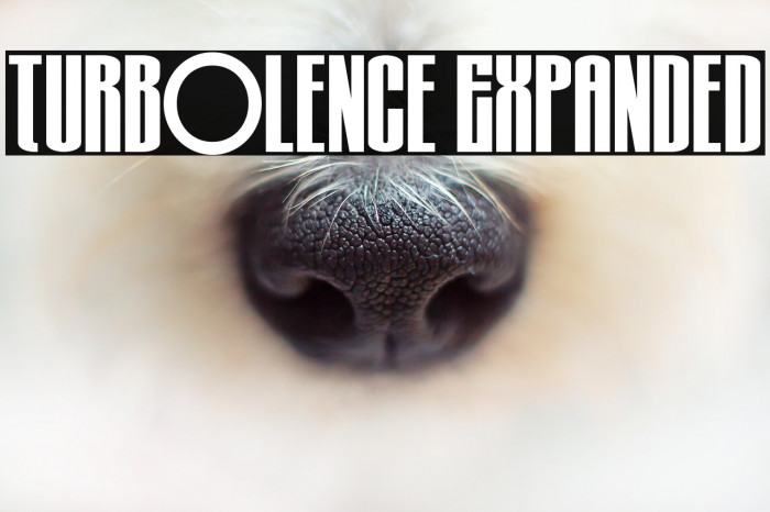 Turb0lence Expanded Example 2