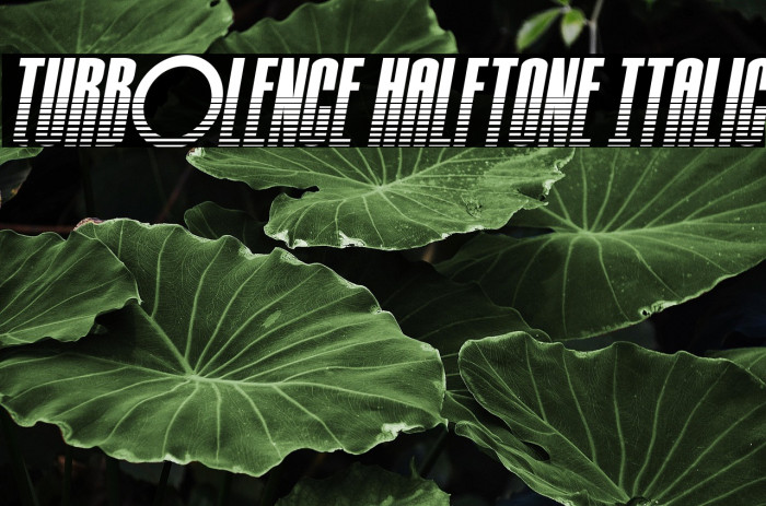 Turb0lence Halftone Italic Example 2