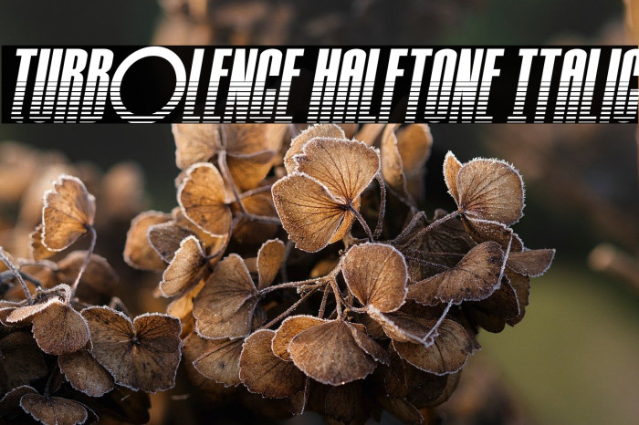 Turb0lence Halftone Italic Example 3