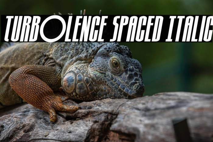 Turb0lence Spaced Italic Example 3