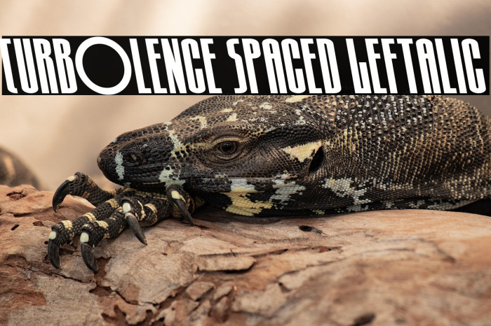 Turb0lence Spaced Leftalic Example 1