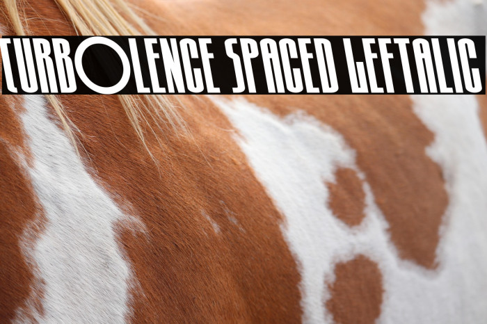 Turb0lence Spaced Leftalic Example 2