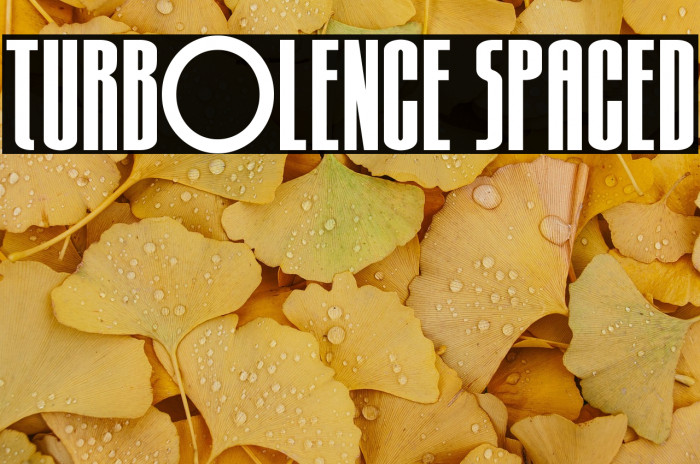 Turb0lence Spaced Example 3