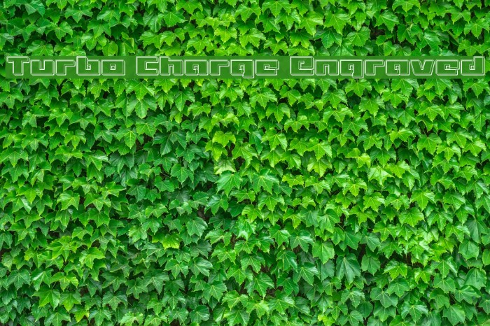 Turbo Charge Engraved Example 3