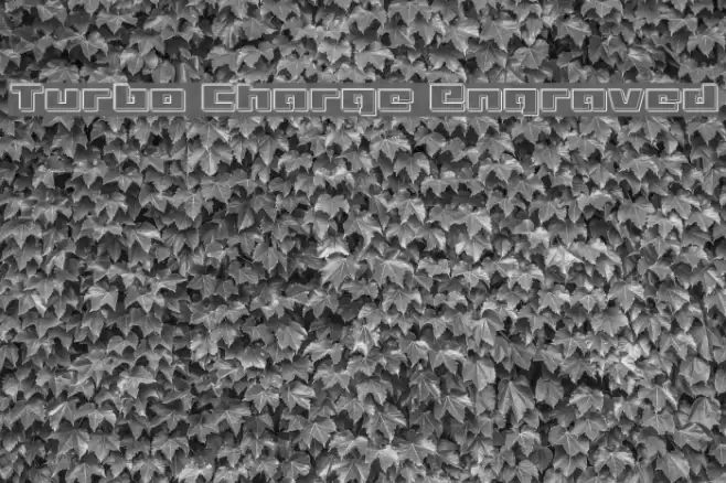 Turbo Charge Engraved Font examples