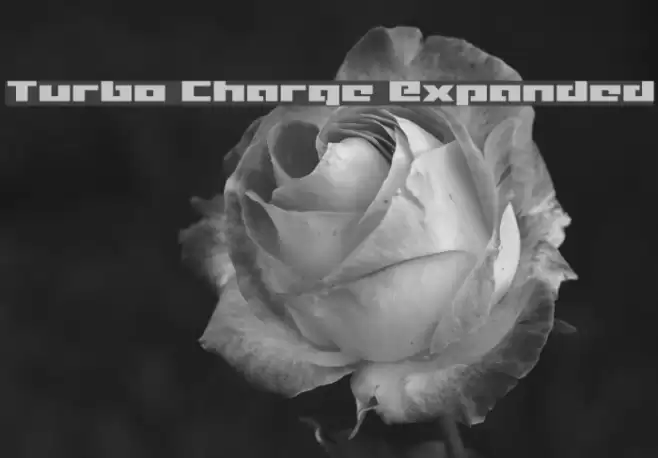 Turbo Charge Expanded Font examples