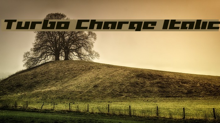 Turbo Charge Italic Example 3