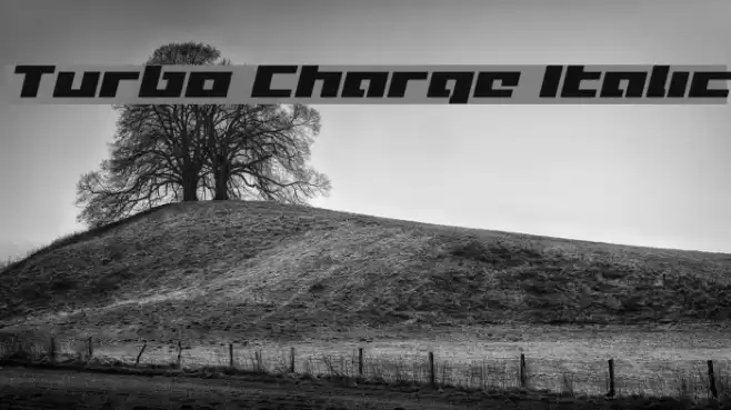 Turbo Charge Italic Font examples