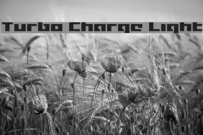 Turbo Charge Light Schriftart examples