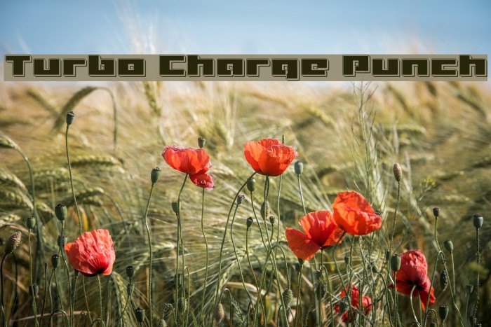 Turbo Charge Punch Font examples