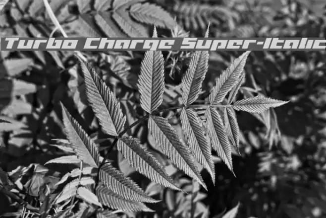 Turbo Charge Super-Italic Font examples
