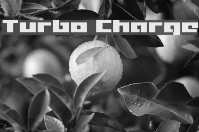 Turbo Charge Font examples