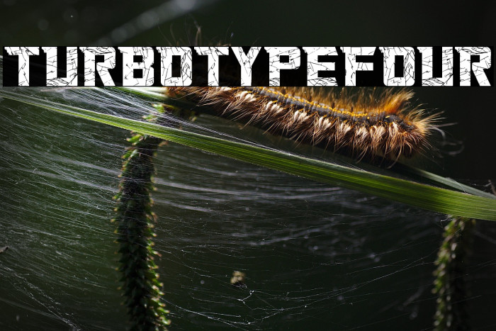 Turbo Type Four Example 2