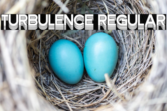 Turbulence Regular Example 3