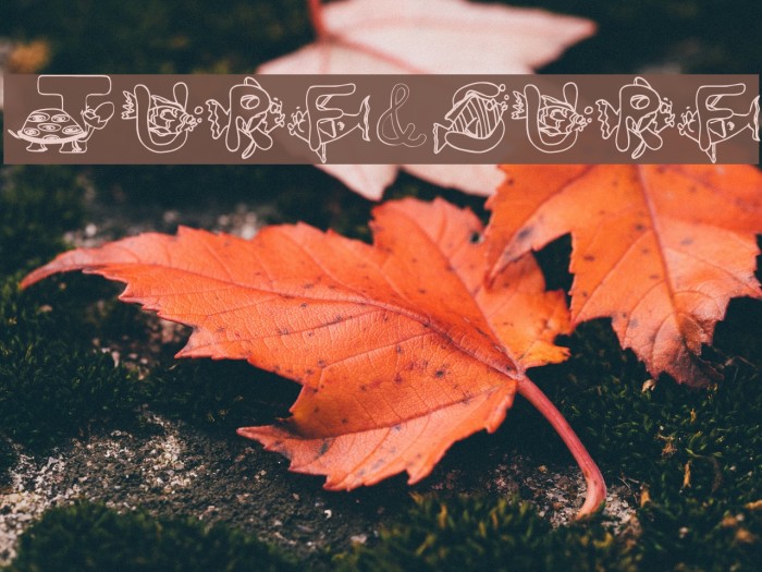 Turf&surf Font examples