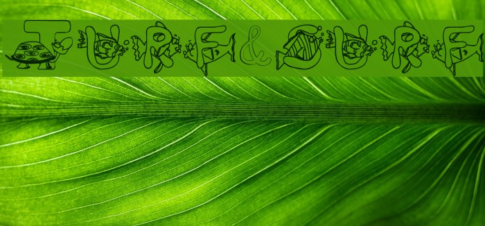 Turf&surf Font examples