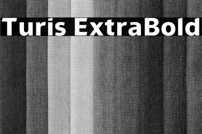 Turis ExtraBold Font examples