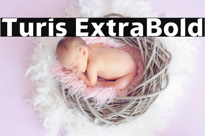 Turis ExtraBold Example 2