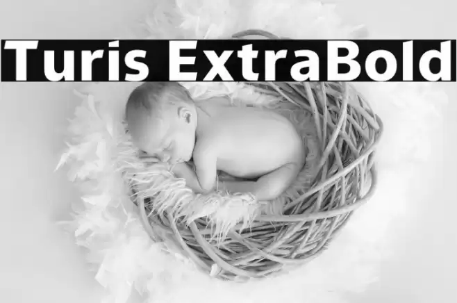 Turis ExtraBold Font examples