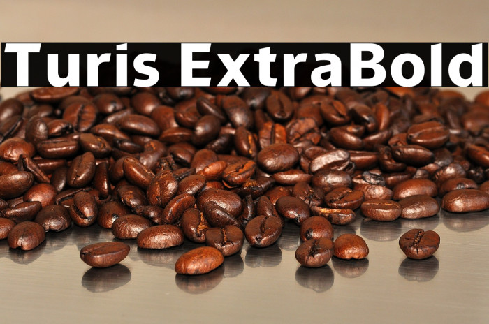 Turis ExtraBold Example 3
